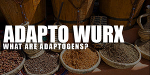 What are adaptogens?