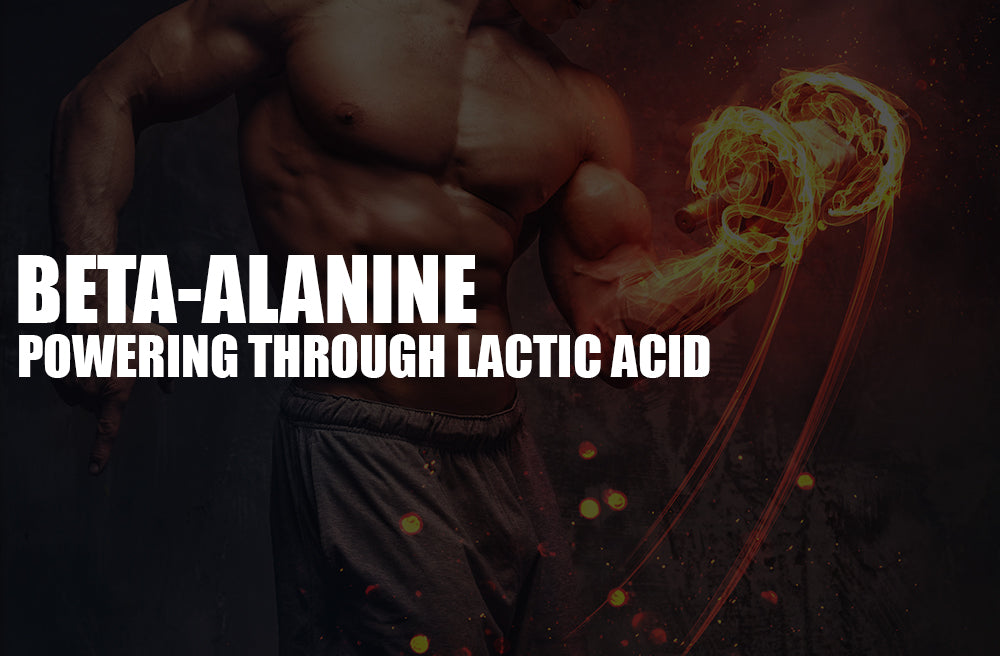 beta alanine effects