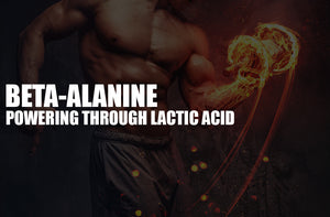 beta alanine effects