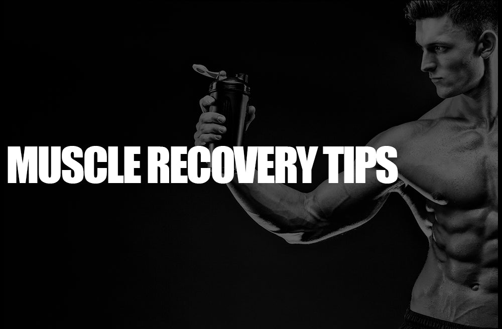 muscle recovery supplements