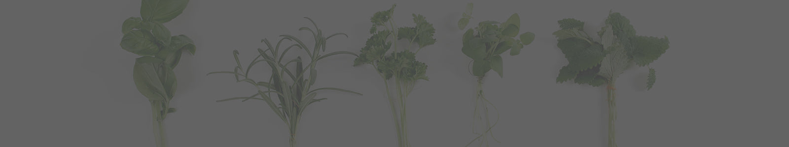 herbs to lower cortisol